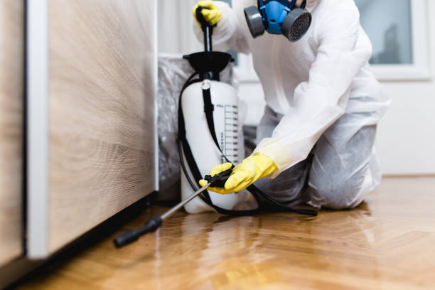 Best Bed Bug Extermination  in Newcastle, WY