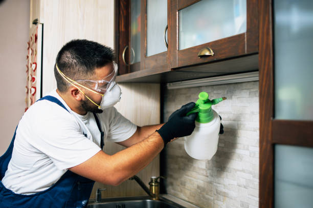 Best Mosquito Control Services  in Newcastle, WY