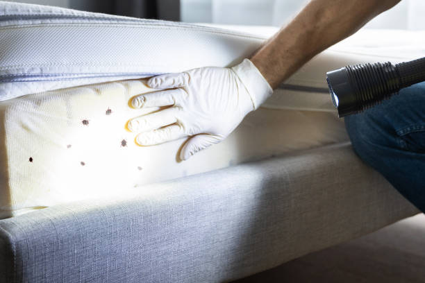 Best Best Pest Control Companies  in Newcastle, WY