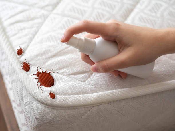 Best Cockroach Control Services  in Newcastle, WY